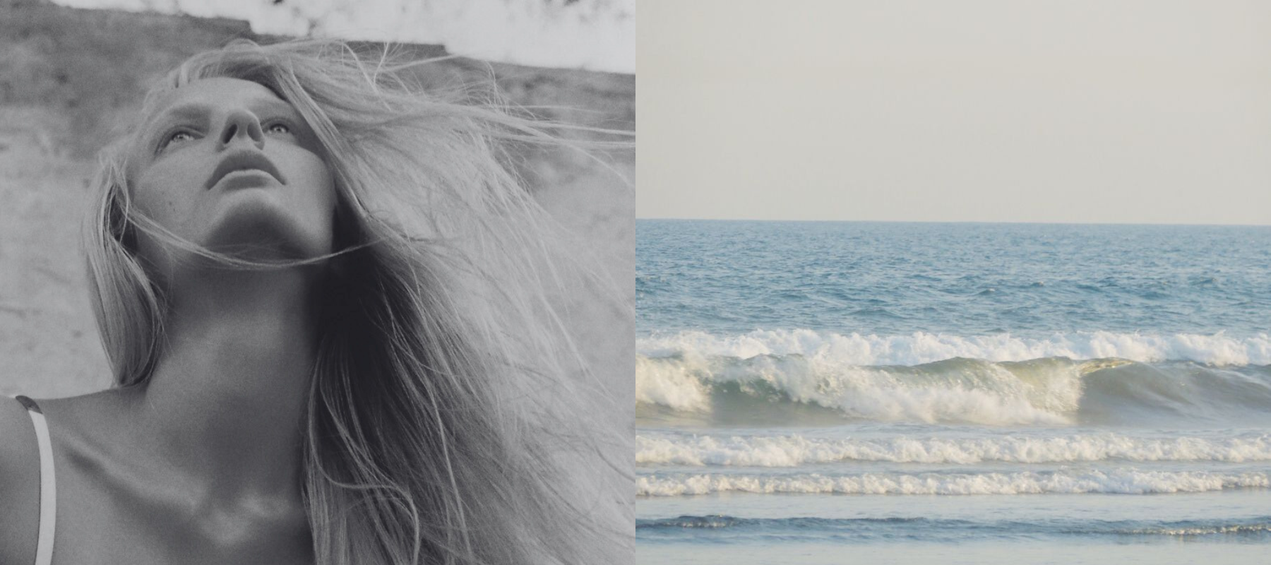 Animal Welfare Policy