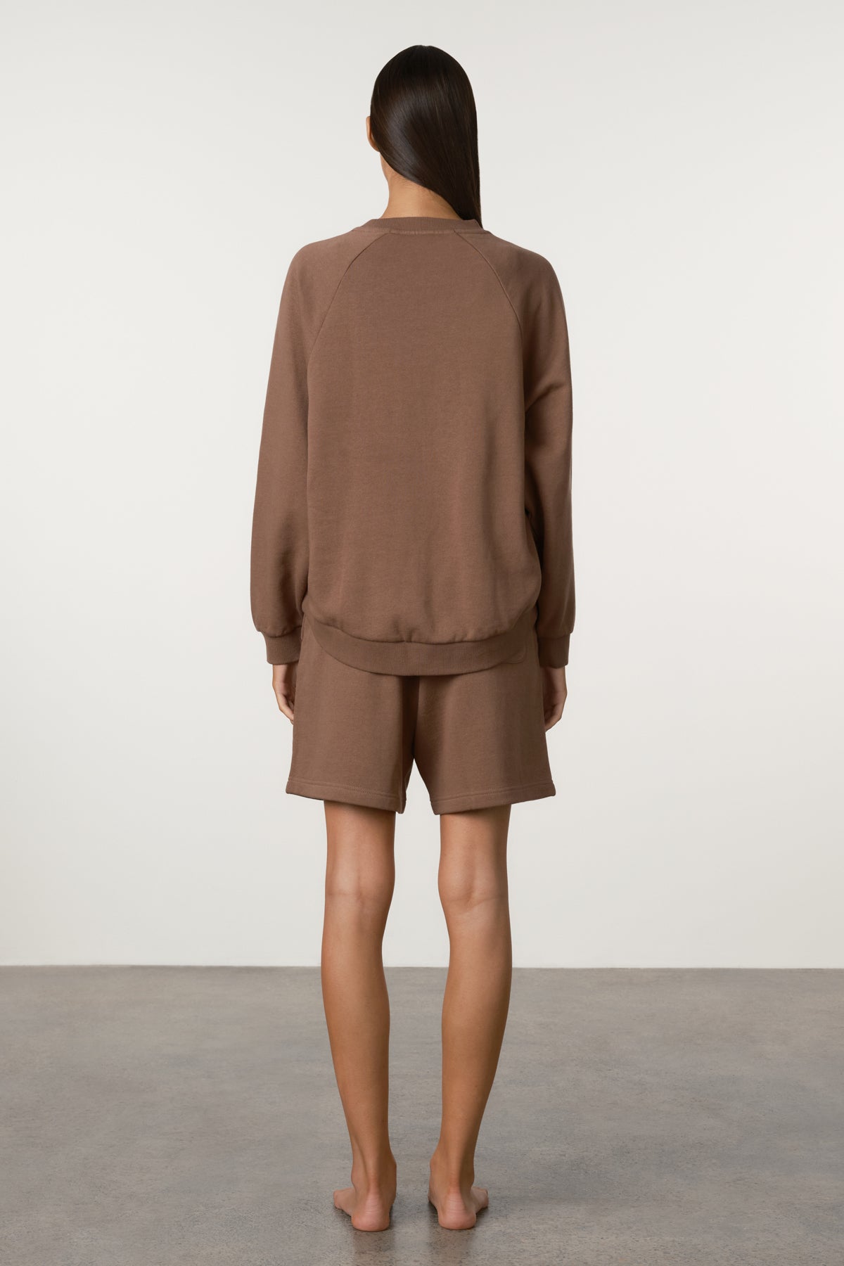 Raglan Sport Sweatshirt - Carob